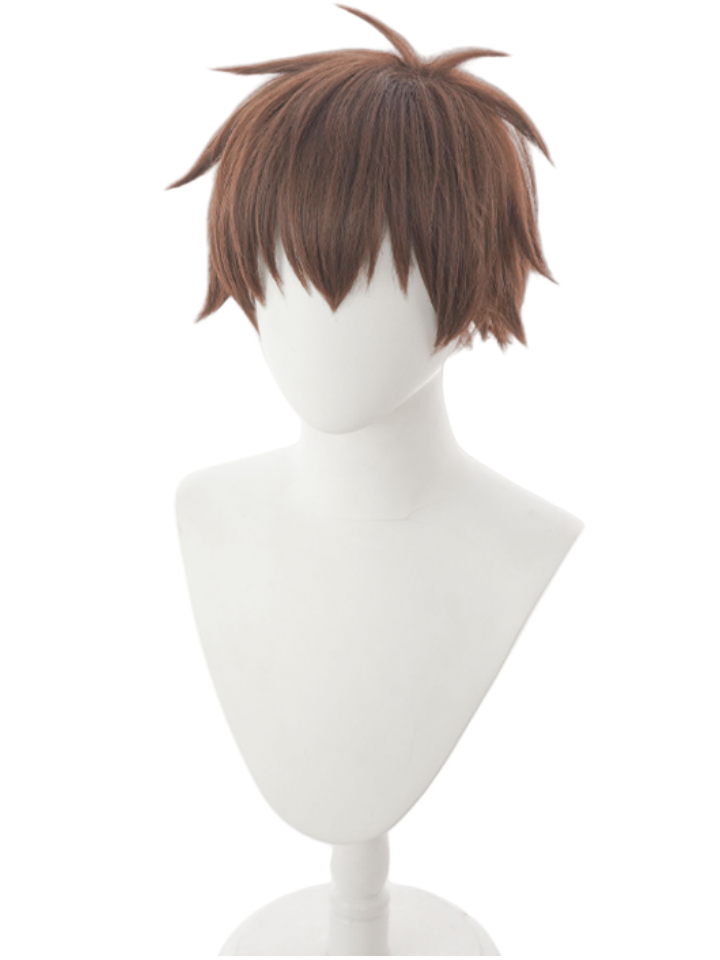 KonoSuba: God's Blessing on this Wonderful World! Kazuma Satou Brown Cosplay Wig