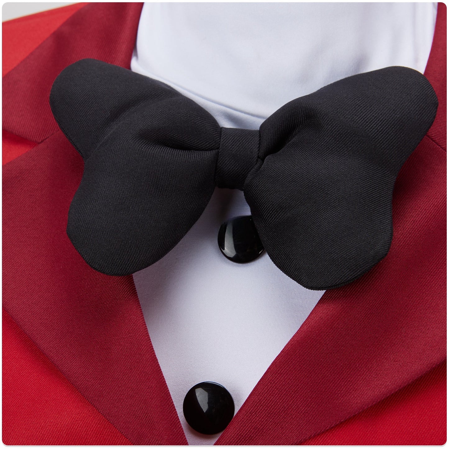 Hazbin Hotel Charlie Morningstar Cosplay Costume