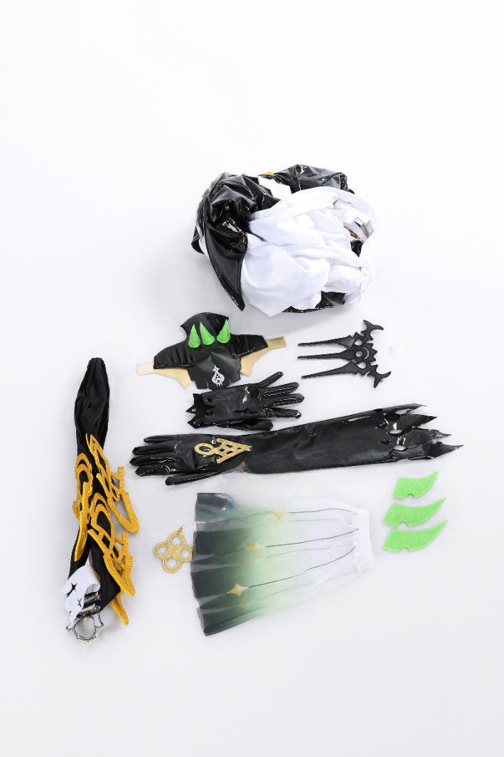 Honkai Impact 3rd Mobius Cosplay Costume