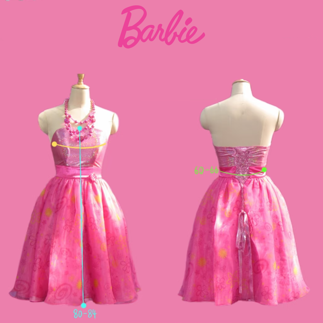 Barbie and the Secret Door Cosplay Costume