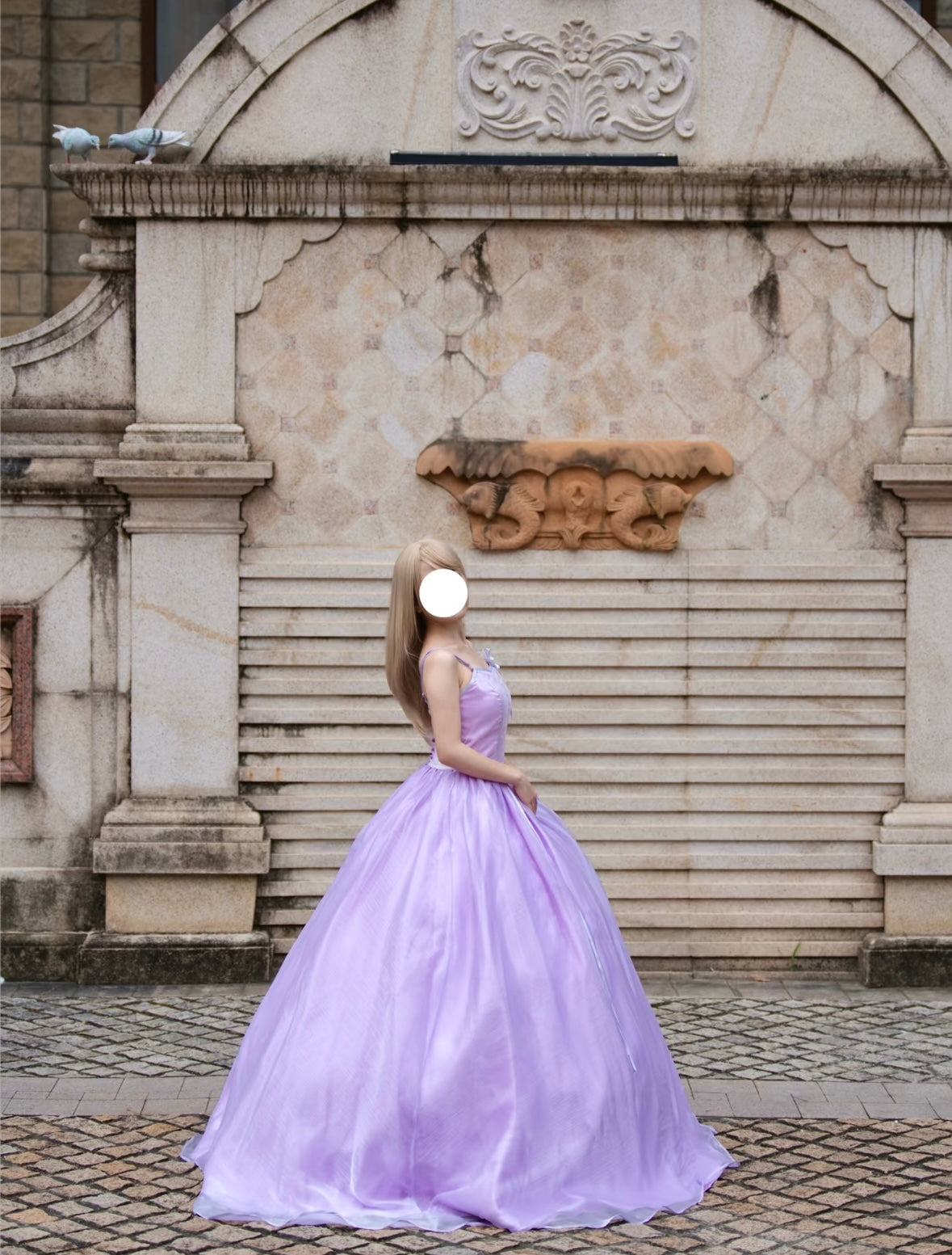 Barbie and the Magic of Pegasus Princess Annika  Cosplay Dress