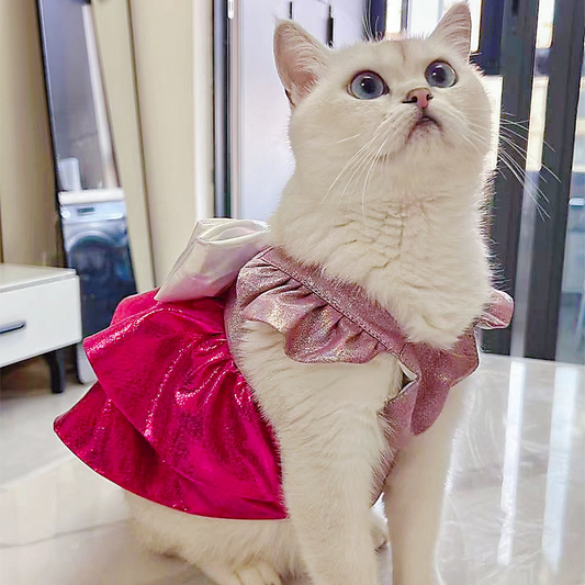 Barbie: A Fashion Fairytale Cat Dress