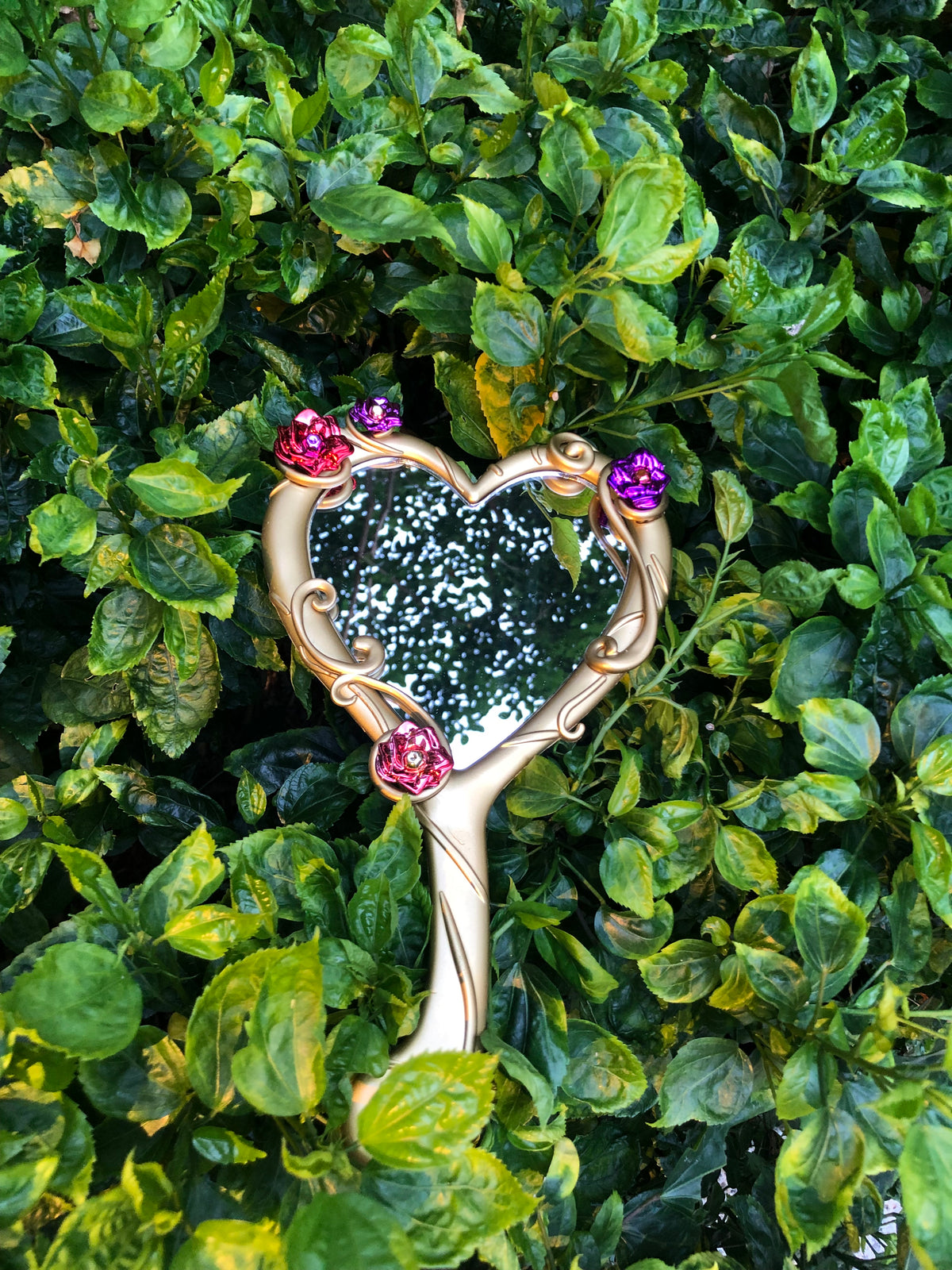 Gold-tone jeweled heart handheld mirror displayed outdoors