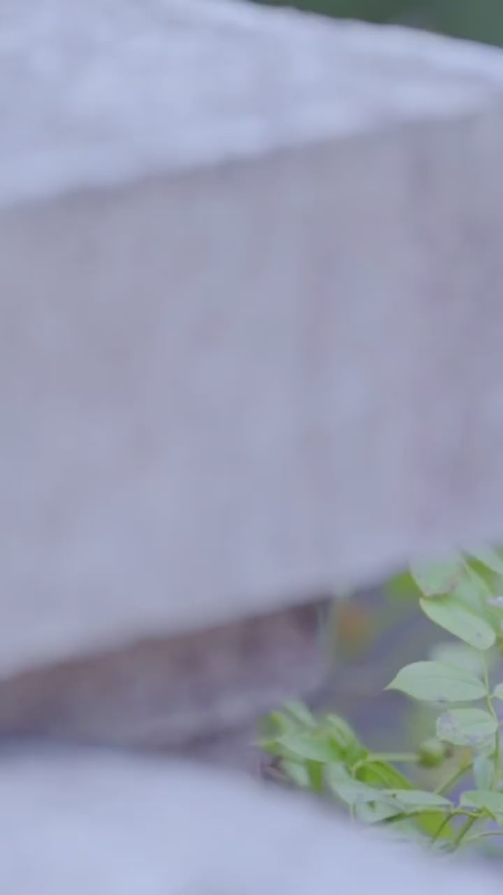 Load video: Barbie and the Magic of Pegasus Princess Annika  Cosplay Dress